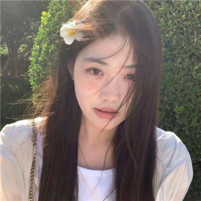 神秘森林